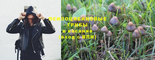 трава Вязники