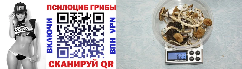 Псилоцибиновые грибы Cubensis  Сыктывкар 